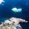 Ilulissat