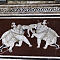 Rajasthan-2011-1872.jpg
