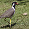 Rajasthan-2011-2071.jpg