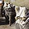 Rajasthan-2011-2279.jpg