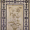 Rajasthan-2011-2386.jpg