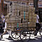 Rajasthan-2011-2437.jpg