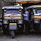Rajasthan-2011-2524.jpg