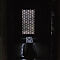 Rajasthan-2011-2726.jpg